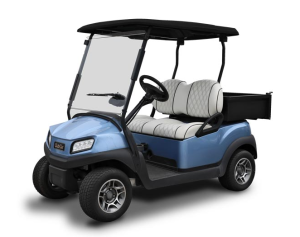 Golf Cart - 2 Passengers With Box